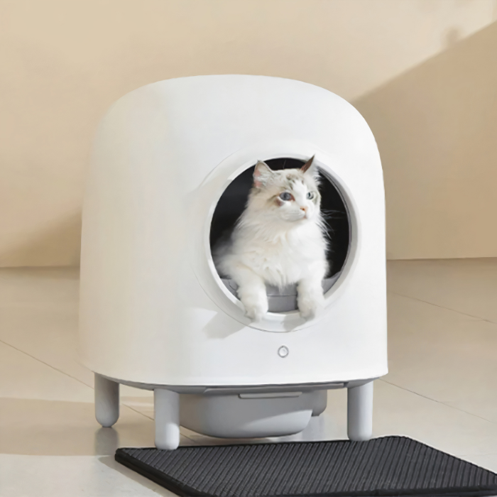 Self-Cleaning Litter Box