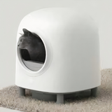 Self-Cleaning Litter Box