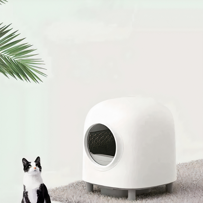 Self-Cleaning Litter Box